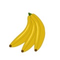 Juicy bananas on a branch. Vector illustration icon isolated on white background. Royalty Free Stock Photo
