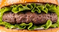Juicy Beef Burger with Fresh Lettuce Royalty Free Stock Photo