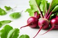 Juicy beetroot with green tops leaves on a white background. Seasonal harvest Royalty Free Stock Photo