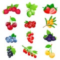 Juicy berries and fruits icon collection. Vector flat cartoon illustration. Healthy sweet food design elements Royalty Free Stock Photo