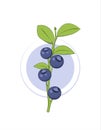 Juicy bilberry. Isolated bilberry with leaves. A few bilberry berries. Berries.