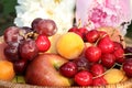 Juicy black grapes and apples, pears and peaches in a basket in the garden Royalty Free Stock Photo
