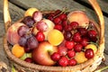 Juicy black grapes and apples, pears and peaches in a basket in the garden Royalty Free Stock Photo