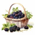 Juicy Blackberries In Picnic Basket - Watercolor Clipart Illustration