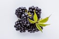 Juicy blackberries on a white acrylic background