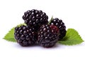Juicy Blackberry on White Background: Perfect for Healthy Snacks and Delicious Recipes. created with Generative AI