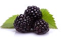 Juicy Blackberry on White Background: Perfect for Healthy Snacks and Delicious Recipes. created with Generative AI