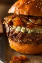 Juicy Blue Cheese Hamburger Royalty Free Stock Photo
