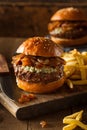 Juicy Blue Cheese Hamburger Royalty Free Stock Photo