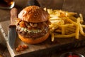 Juicy Blue Cheese Hamburger Royalty Free Stock Photo