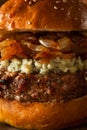 Juicy Blue Cheese Hamburger Royalty Free Stock Photo