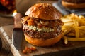 Juicy Blue Cheese Hamburger Royalty Free Stock Photo