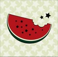 Juicy bright summer illustration. Slices of ripe watermelon .