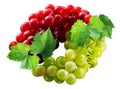 Juicy bunch of grapes isolated on a white background. Red and green grapes with leaves. Royalty Free Stock Photo