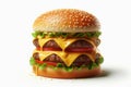 Juicy Burger on Black and White Background with Cheese, Lettuce, Tomato, Onion, and Sesame Bun
