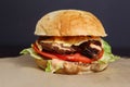 Juicy burger with chicken and lamb meat on a dark background Royalty Free Stock Photo