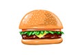 Juicy Burger on a white background