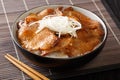 Juicy Butadon Japanese fried pork with rice has a light sweetish taste close-up in a bowl. horizontal Royalty Free Stock Photo