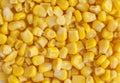 Juicy canned sweet corn