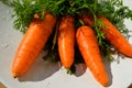 Juicy carrots with green halm on white plate Royalty Free Stock Photo