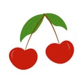 Juicy cherries. Vector illustration of cherry.