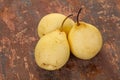 Juicy Chinese pear Royalty Free Stock Photo