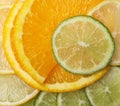 Juicy citrus background