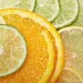 Juicy citrus Background