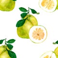 Juicy citrus fruit pomelo. Watercolor seamless background. Fruit background illustration design