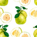 Juicy citrus fruit pomelo. Watercolor seamless background. Fruit background illustration design