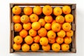 Juicy Citrus Harvest: Oranges in Wooden Crate.