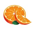 Juicy citrus slices, nature healthy refreshment