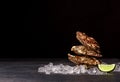 Juicy closed oysters on a black background. Delicious tropical sea mollusk with crystal cool ice and a lime segment Royalty Free Stock Photo