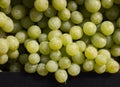 Juicy colored fruits on counter waxy green grapes close up selective focus