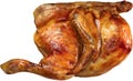 Juicy cooked half roast chicken on a white background.