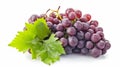 Juicy Crimson Delight: Vibrant Bunch of Red Grapes with Lush Green Leaves on A White Canvas --AR 16: