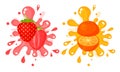 Juicy Cut Fruits with Pulpy Splashes and Blots Vector Set