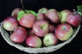 Basket of  APPLES, grouped together, teamwork- one bad apple spoils the whole bunch Royalty Free Stock Photo