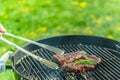 Juicy delicious sirloin roasting on a grill in spring sunlight