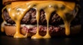 Juicy Double Cheeseburger with Melted Cheese Royalty Free Stock Photo