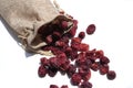 Juicy dried cranberries on white background