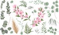 Juicy eucalyptus, deadwood, green plants and leaves. All elements are isolated. A branch of pink magnolia, sakura.