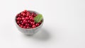 Juicy forest lingonberry in a  bowl on a white isolated background. Fresh red cowberry Royalty Free Stock Photo