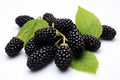 Juicy Fresh black mulberries. Generate Ai