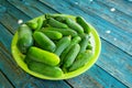 Juicy fresh cucumbers in a bowl on an old wooden table Royalty Free Stock Photo