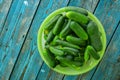 Juicy fresh cucumbers in a bowl on an old wooden table Royalty Free Stock Photo