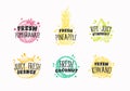 Juicy Fresh Ecxotic Fruits Badges, Labels or Logo Templates Collection. Hand Drawn Pomegranate, Kiwano, Orange Royalty Free Stock Photo