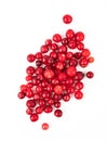 Juicy fresh forest red cranberry on a white background. Top view and copy space Royalty Free Stock Photo