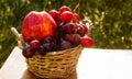 Juicy fresh fruit in the basket