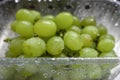 Juicy fresh green grapes in a plastic container after washing. Healthy routine concept. Cleaning fruits before use